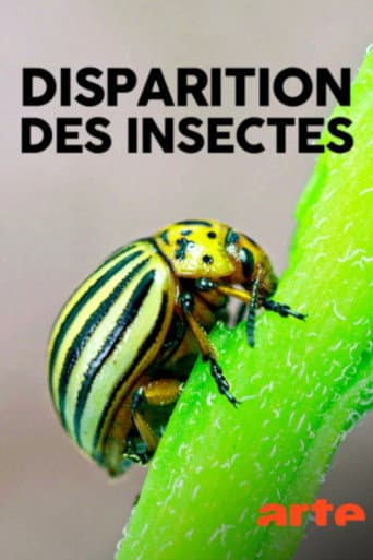 Watch Das große Insektensterben free online