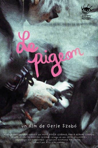 Watch The Pigeon free online