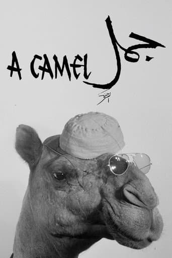 Watch A Camel free online