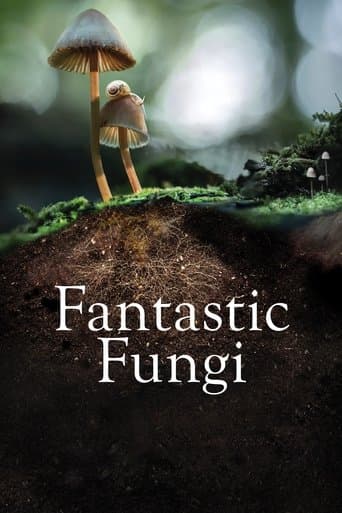 Watch Fantastic Fungi free online