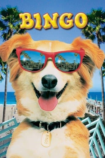 Watch Bingo free online