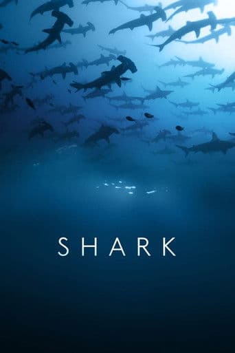 Watch Shark free online