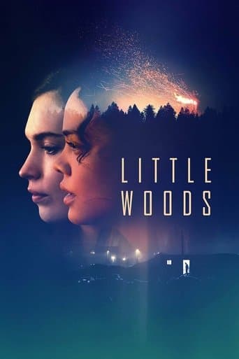 Watch Little Woods free online