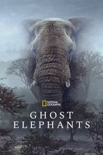 Watch Ghost Elephants free online