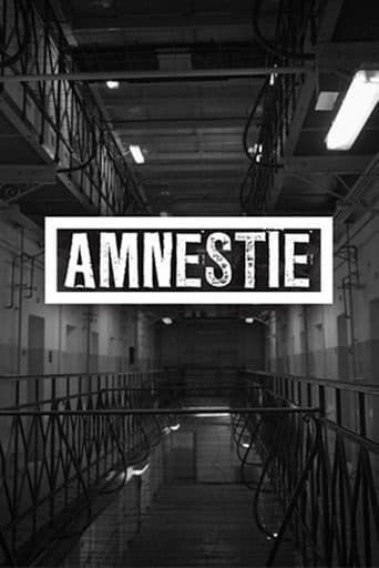 Watch Amnesty free online