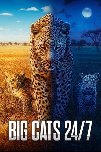 Watch Big Cats 24/7 free online