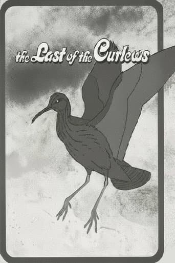 Watch The Last of the Curlews free online