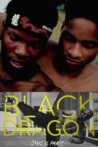 Watch Gang de Paris : Black Dragon free online