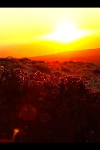 Watch Todos tienen algo Desierto free online