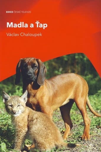 Watch Madla a Ťap free online