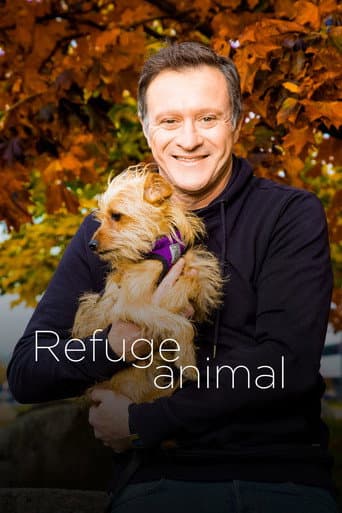 Watch Animal Shelter free online