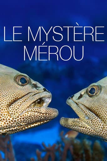 Watch The Grouper Mystery free online