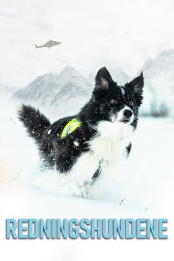 Watch Redningshundene free online
