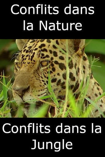 Watch Conflits dans la Nature – Conflits dans la Jungle free online
