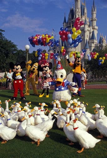 Watch Donald Duck's 50th Birthday free online