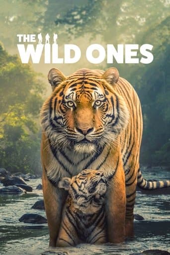 Watch The Wild Ones free online