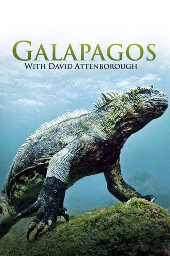 Watch Galapagos 3D with David Attenborough free online