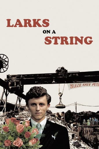 Watch Larks on a String free online