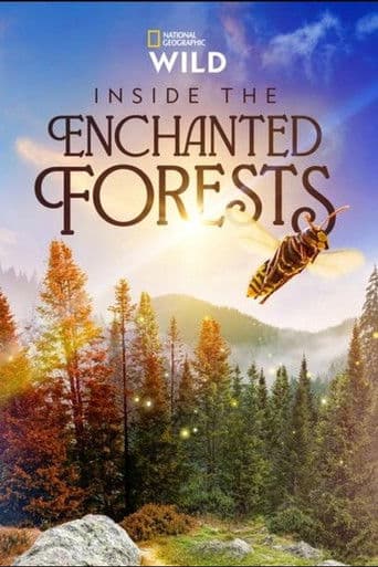 Watch Inside the Enchanted Forests free online