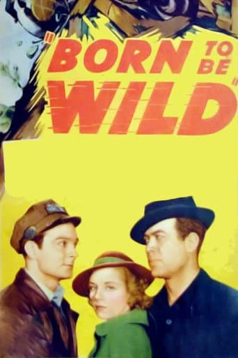 Watch Born to Be Wild free online