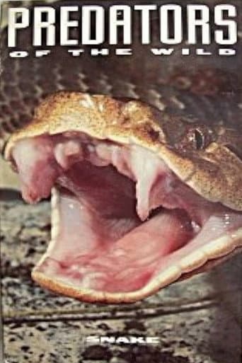 Watch Predators of the Wild: Snake free online