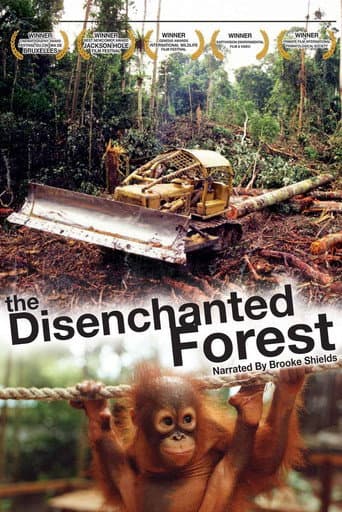 Watch Disenchanted Forest free online
