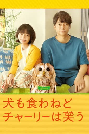 Watch Everything Will Be Owlright! free online