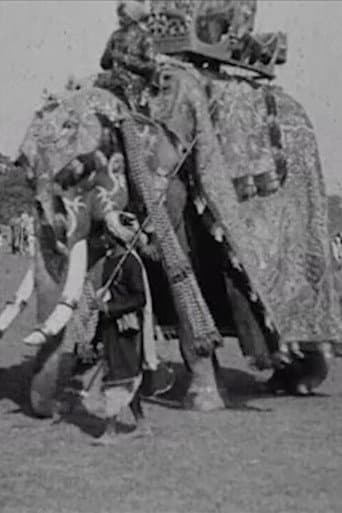 Watch Calcutta Pageant free online