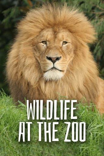 Watch Wild Life At The Zoo free online