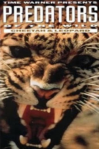 Watch Predators of the Wild: Cheetah and Leopard free online