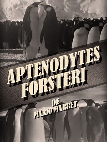 Watch Aptenodytes Forsteri free online
