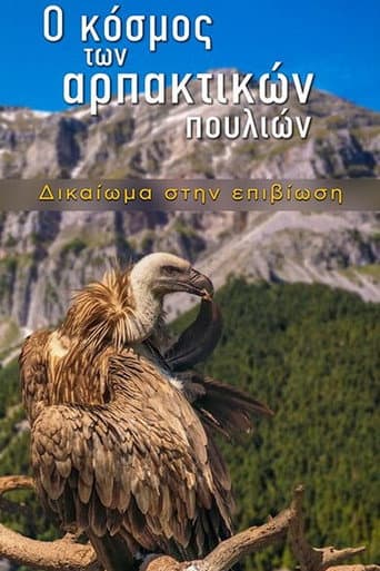 Watch The World of Birds of Prey – Right to Survival free online