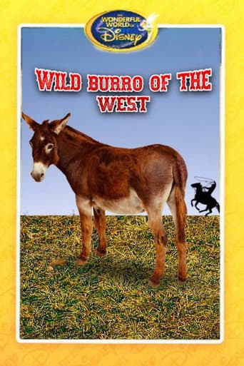 Watch Wild Burro of the West free online