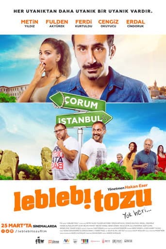Watch Leblebi Tozu free online