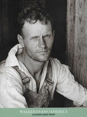 Watch Walker Evans / America free online