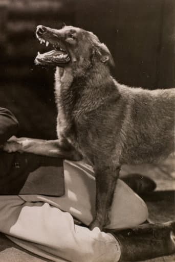 Watch The Hound of Silver Creek free online