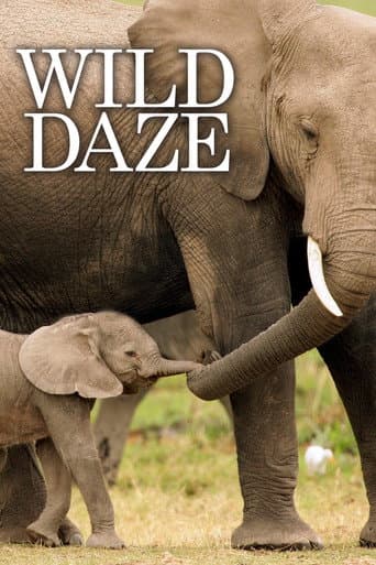 Watch Wild Daze free online