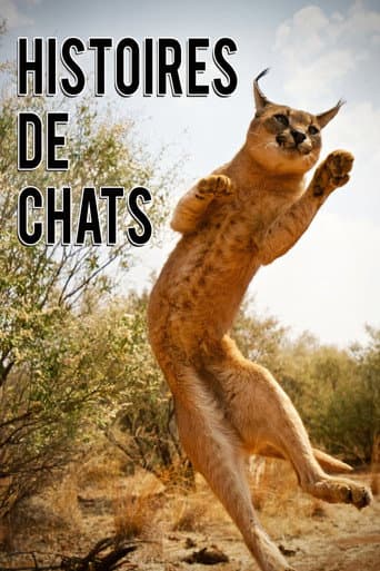 Watch The Story of Cats free online
