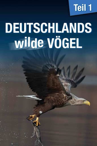Watch Deutschlands wilde Vögel free online