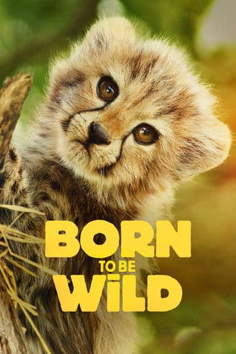 Watch Born to Be Wild free online