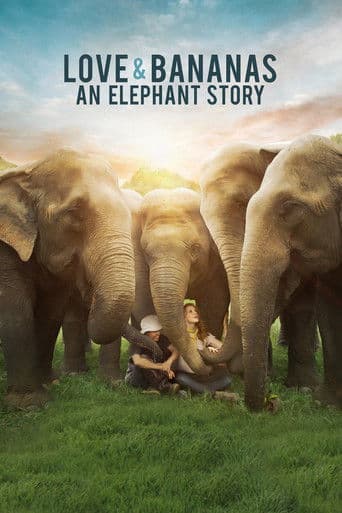 Watch Love & Bananas: An Elephant Story free online