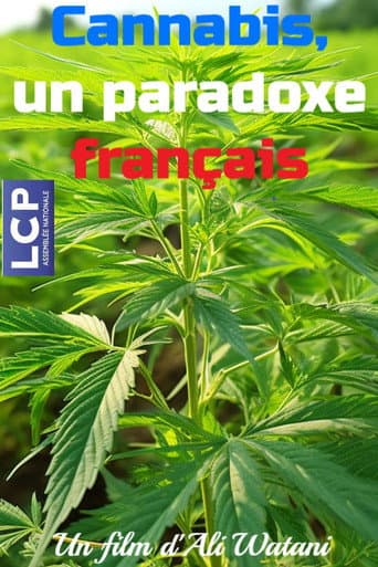 Watch Cannabis, un paradoxe français free online