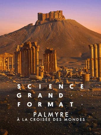 Watch Palmyre, à la croisée des mondes free online