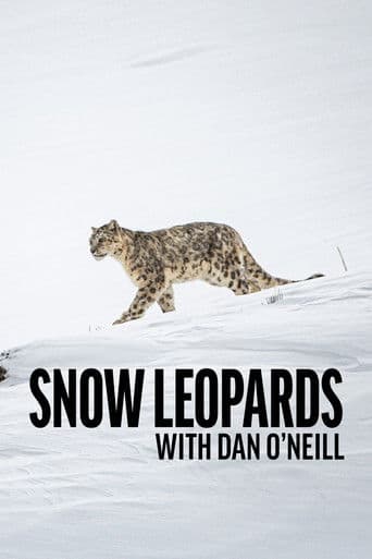 Watch Snow Leopards with Dan O'Neill free online