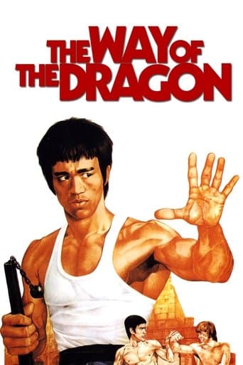 Watch The Way of the Dragon free online