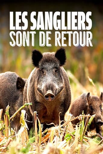 Watch Wild Boar: The Comeback free online