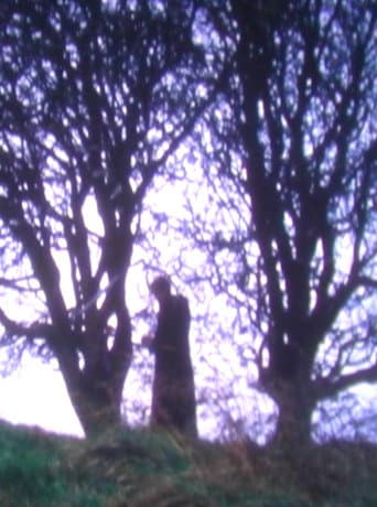 Watch Tír na nÓg free online
