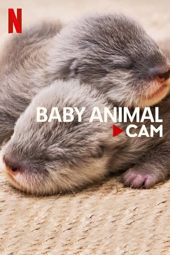 Watch Baby Animal Cam free online