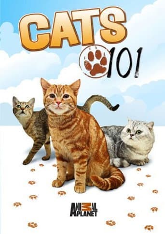 Watch Cats 101 free online