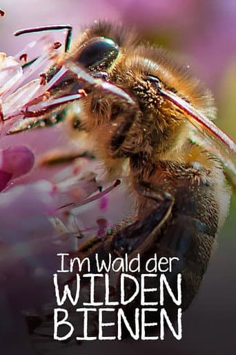 Watch Im Wald der wilden Bienen free online